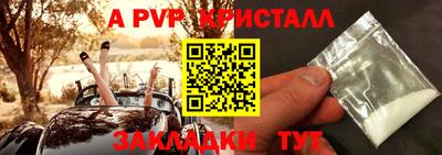 гидра Кандалакша