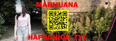 гидра Кандалакша